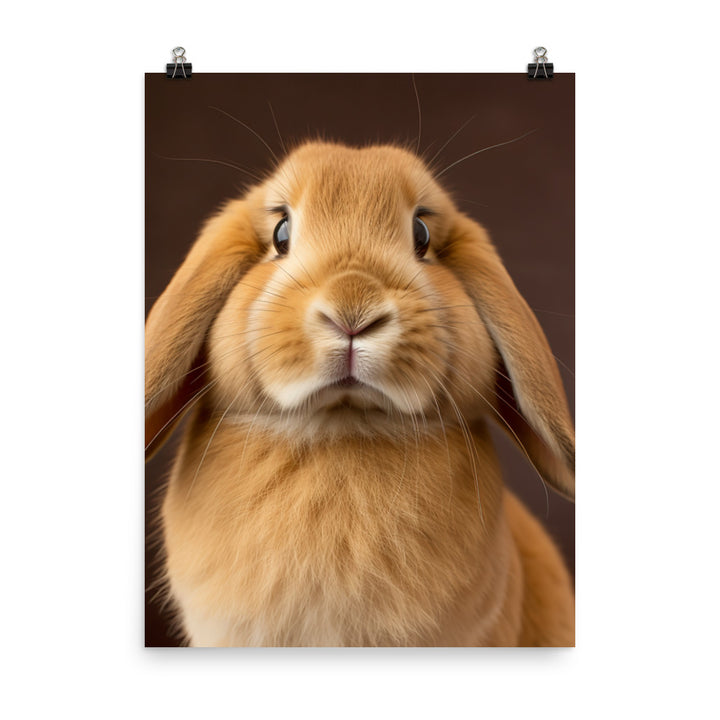 Holland Lop Bunny Photo paper poster - PosterfyAI.com