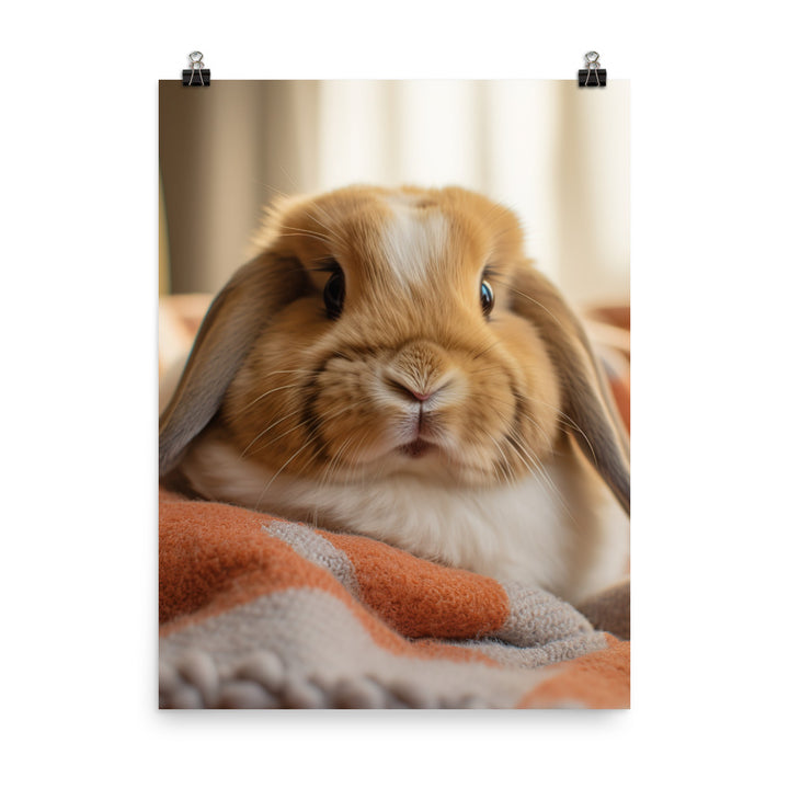 Holland Lop Bunny in a Cozy Setting Photo paper poster - PosterfyAI.com