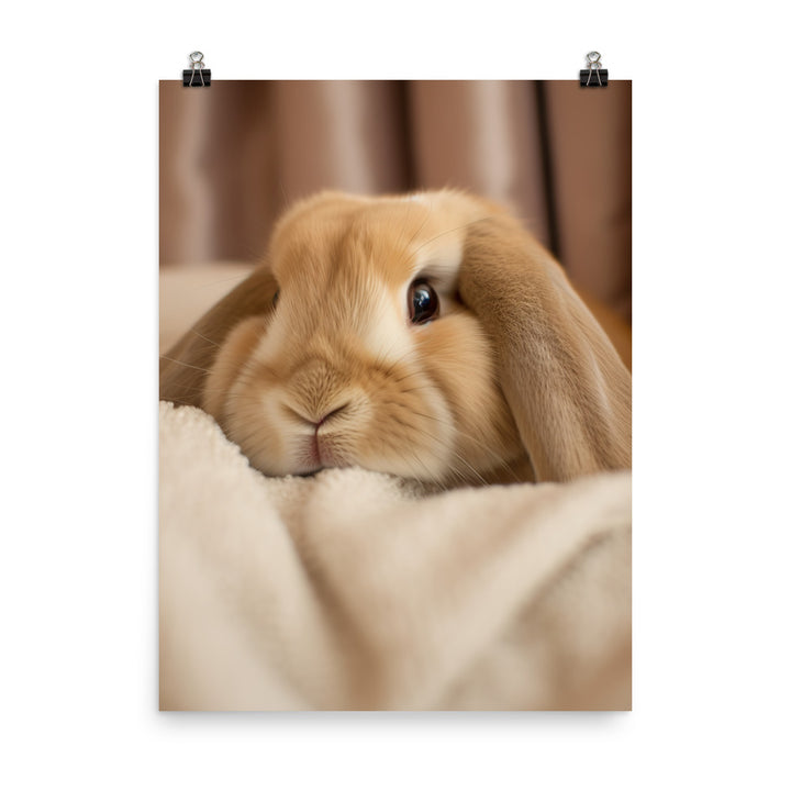 Holland Lop Bunny in a Cozy Setting Photo paper poster - PosterfyAI.com