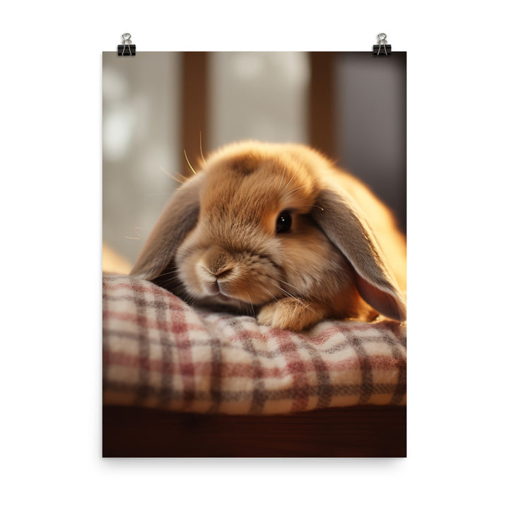 Holland Lop Bunny in a Cozy Setting Photo paper poster - PosterfyAI.com