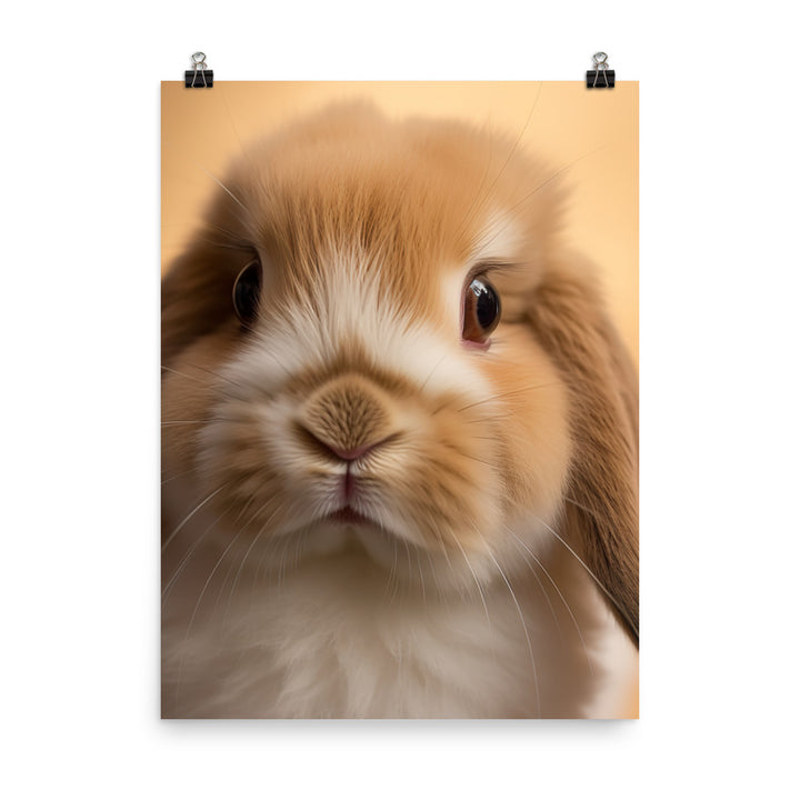 Charming Holland Lop Bunny Photo paper poster - PosterfyAI.com