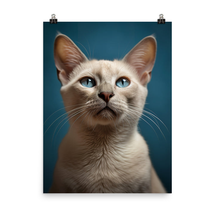Charm of Tonkinese Kitten Photo paper poster - PosterfyAI.com