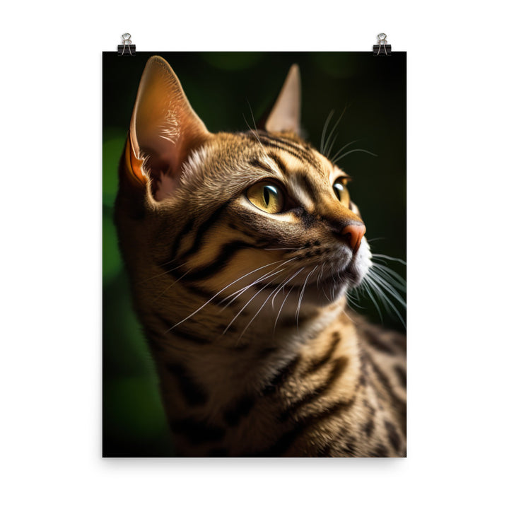 Majestic Beauty of Ocicat Cat Photo paper poster - PosterfyAI.com