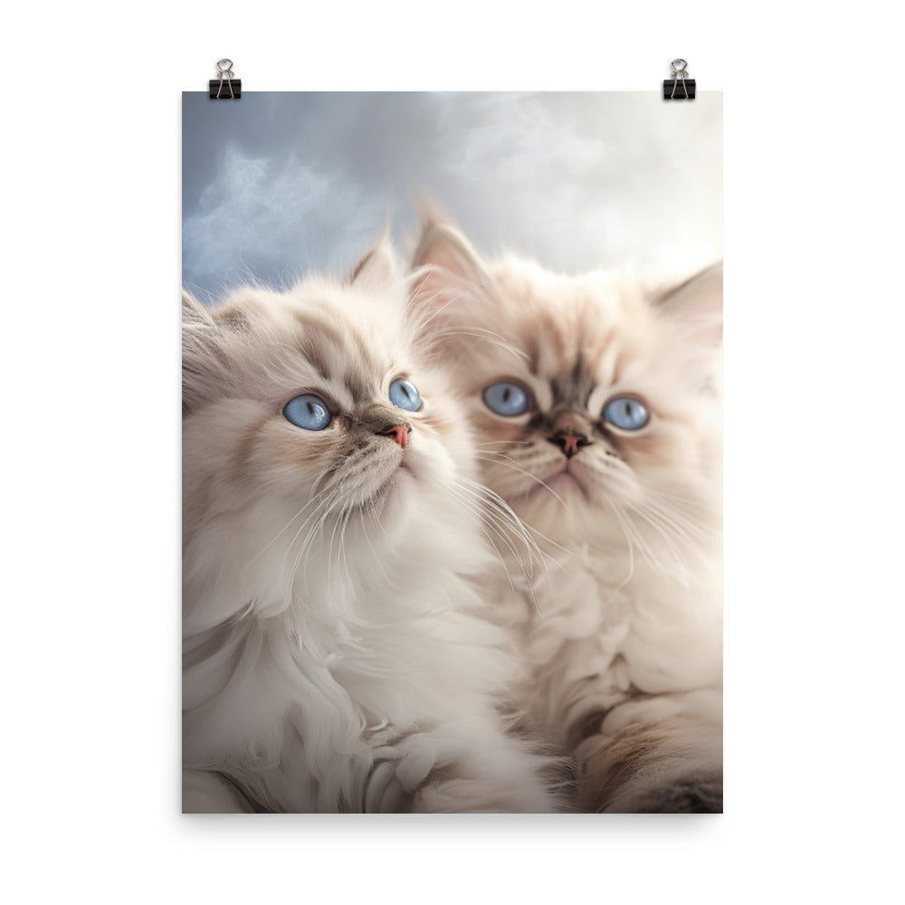 Serene World of Himalayan Kittens Photo paper poster - PosterfyAI.com
