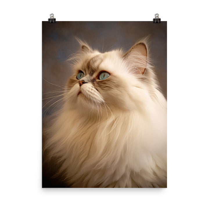 Dignified Aura of Himalayan Cat Photo paper poster - PosterfyAI.com