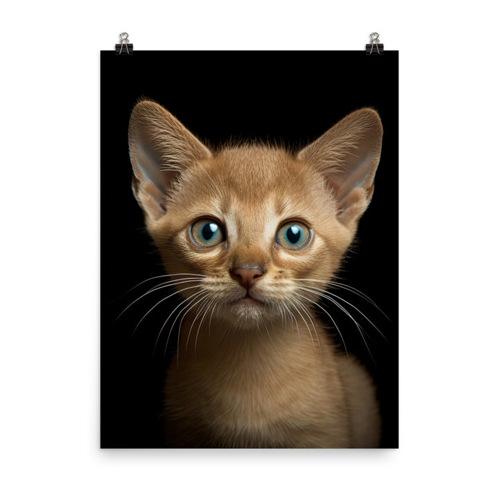 Playful World of Burmese Kitten Photo paper poster - PosterfyAI.com