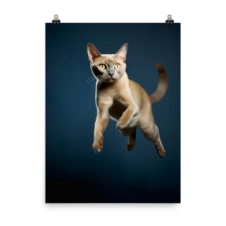 Graceful Movements of Burmese Cat Photo paper poster - PosterfyAI.com