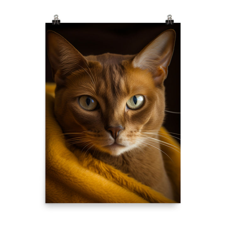 Elegance of Burmese Cat Photo paper poster - PosterfyAI.com