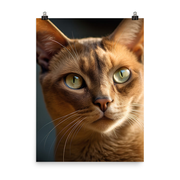 Elegance of Burmese Cat Photo paper poster - PosterfyAI.com