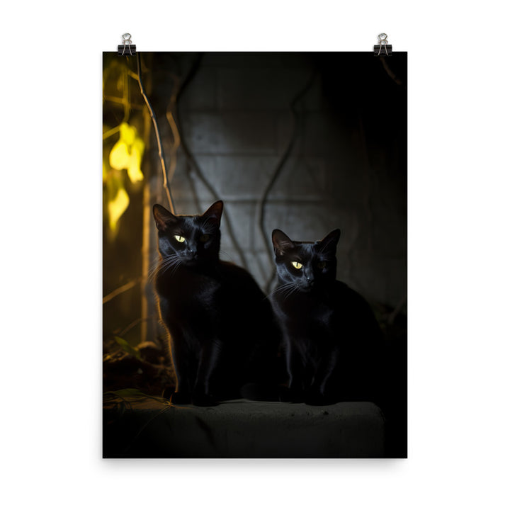Elegance of Bombay Cat Photo paper poster - PosterfyAI.com