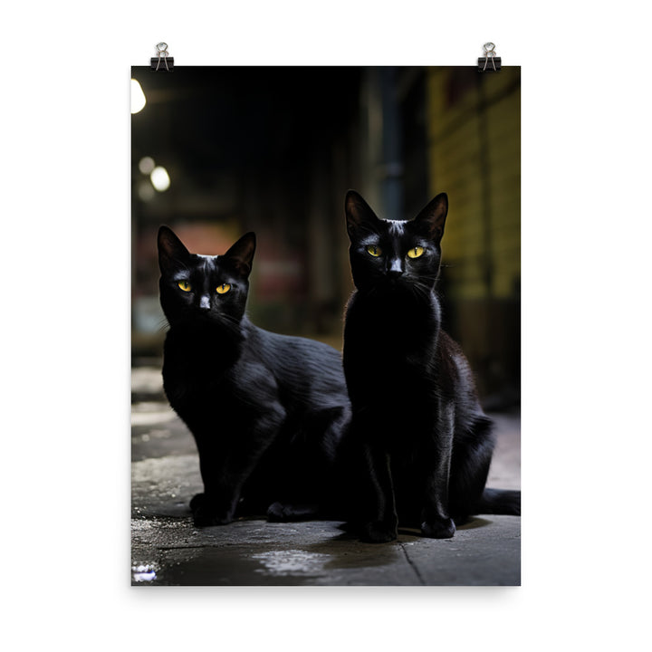 Elegance of Bombay Cat Photo paper poster - PosterfyAI.com