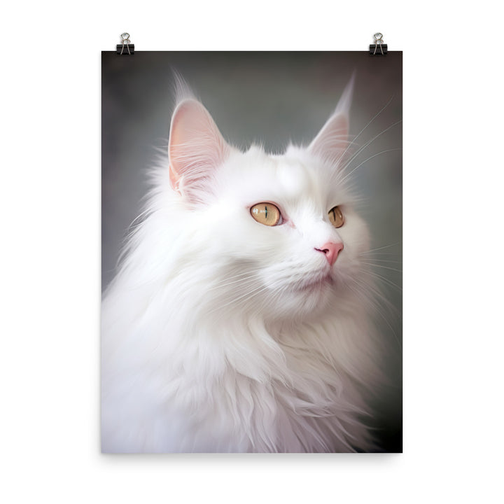 Turkish Angora Cat Photo paper poster - PosterfyAI.com