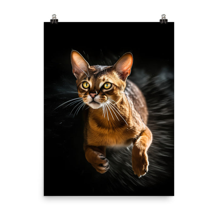 Abyssinian Cat Photo paper poster - PosterfyAI.com