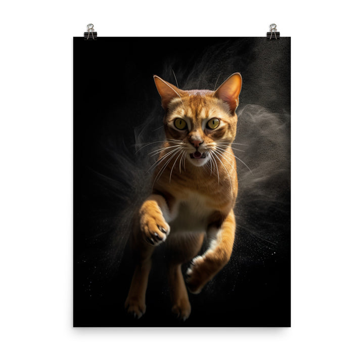Abyssinian Cat Photo paper poster - PosterfyAI.com