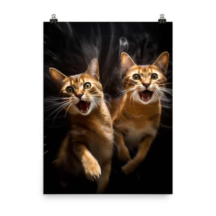 Abyssinian Cat Photo paper poster - PosterfyAI.com