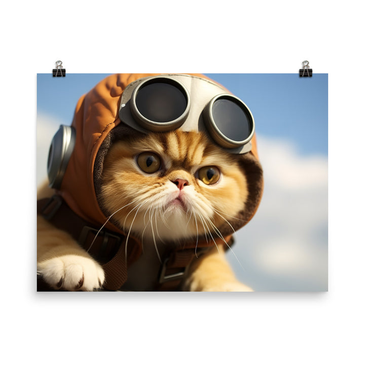 Exotic Shorthair Pilot Photo paper poster - PosterfyAI.com