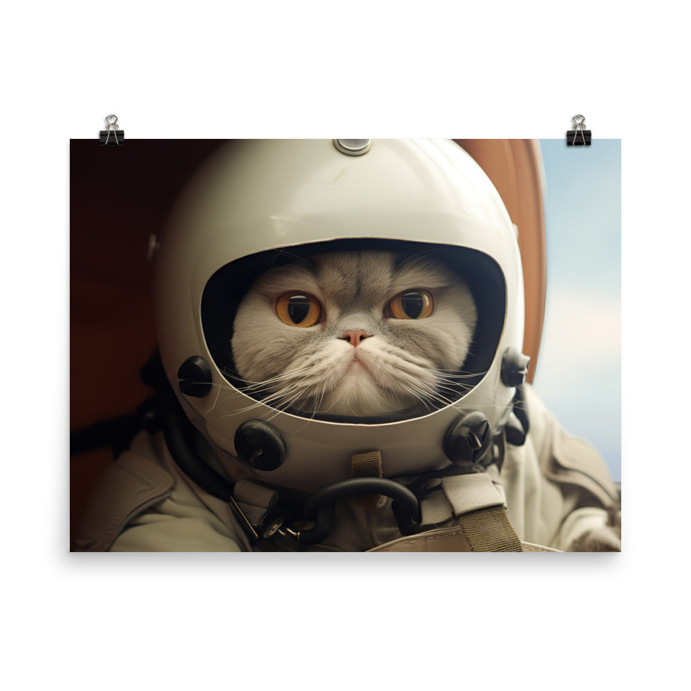 Exotic Shorthair Pilot Photo paper poster - PosterfyAI.com