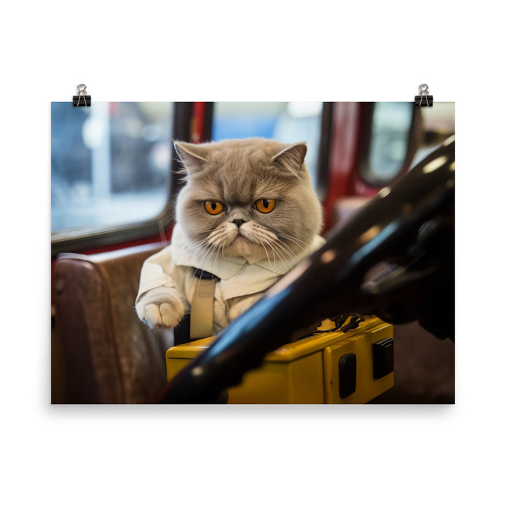 Exotic Shorthair Transit Operator Photo paper poster - PosterfyAI.com