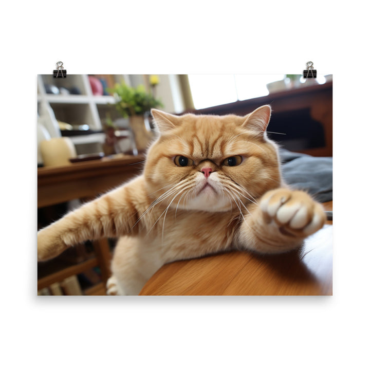 Exotic Shorthair Photo paper poster - PosterfyAI.com