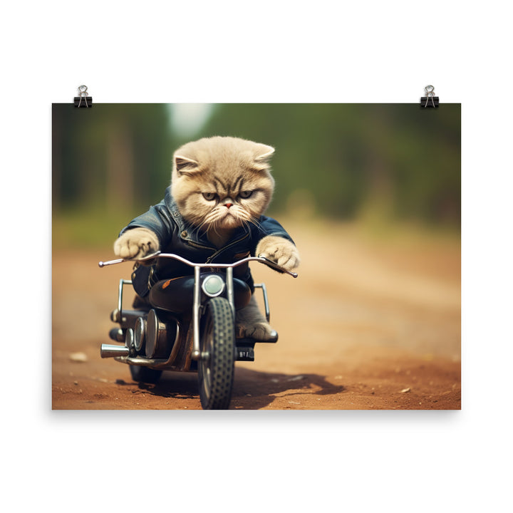 Exotic Shorthair Superbike Athlete Photo paper poster - PosterfyAI.com