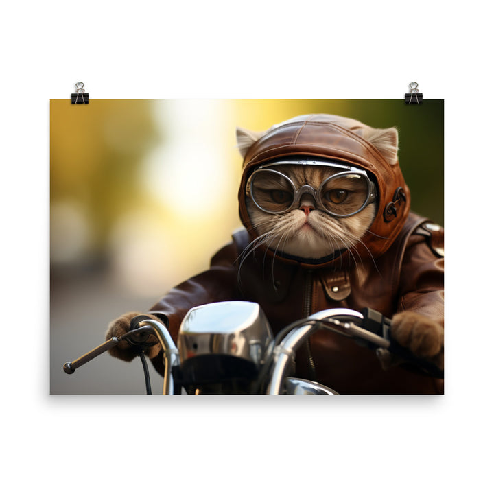 Exotic Shorthair Superbike Athlete Photo paper poster - PosterfyAI.com