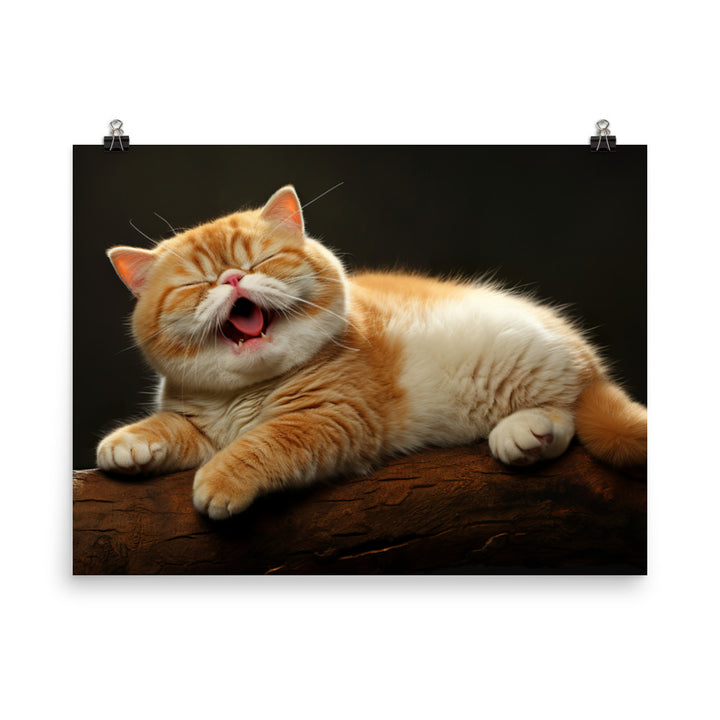 Exotic Shorthair Photo paper poster - PosterfyAI.com