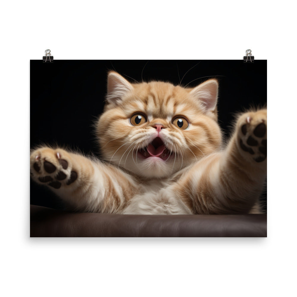 Exotic Shorthair Photo paper poster - PosterfyAI.com
