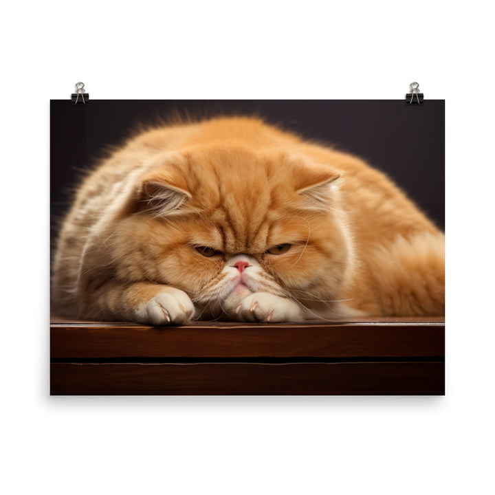 Exotic Shorthair Photo paper poster - PosterfyAI.com