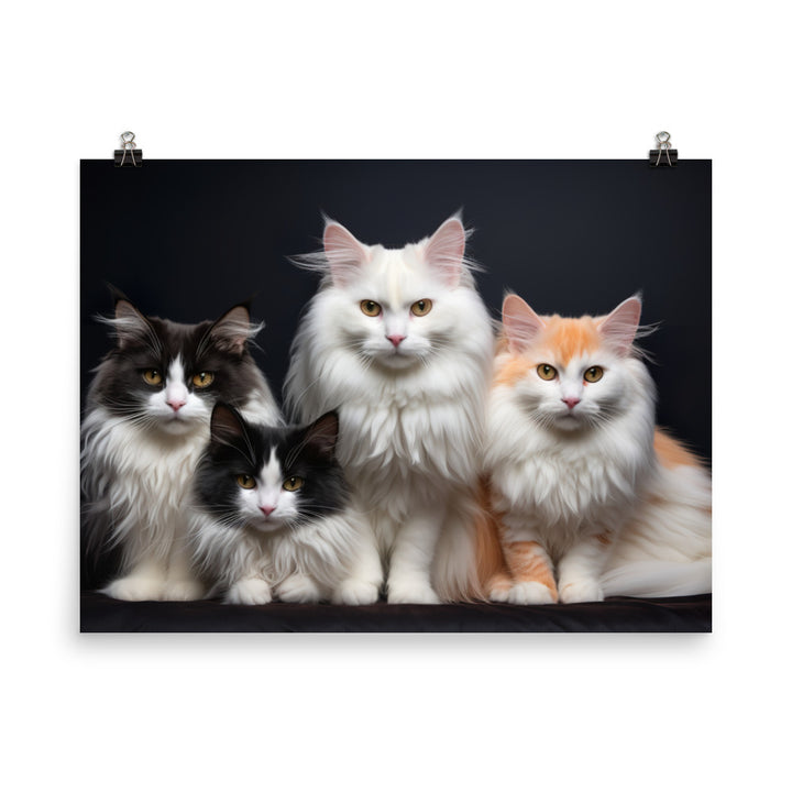 Turkish Van Photo paper poster - PosterfyAI.com