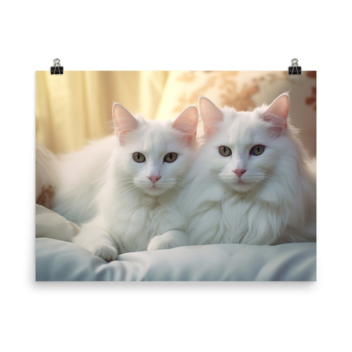 Turkish Van Photo paper poster - PosterfyAI.com