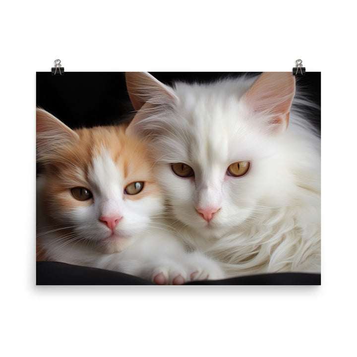Turkish Van Photo paper poster - PosterfyAI.com