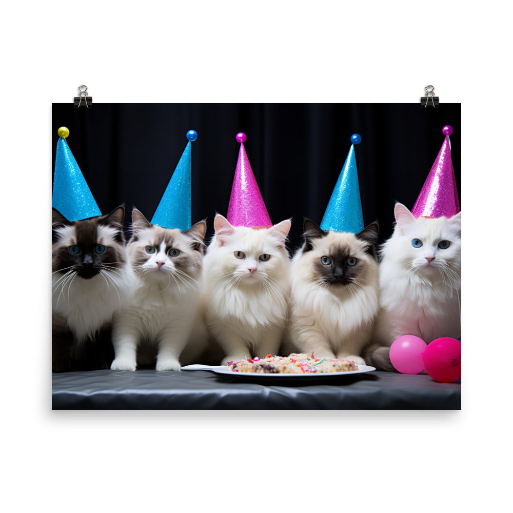Ragdoll Photo paper poster - PosterfyAI.com