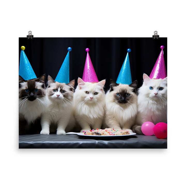 Ragdoll Photo paper poster - PosterfyAI.com
