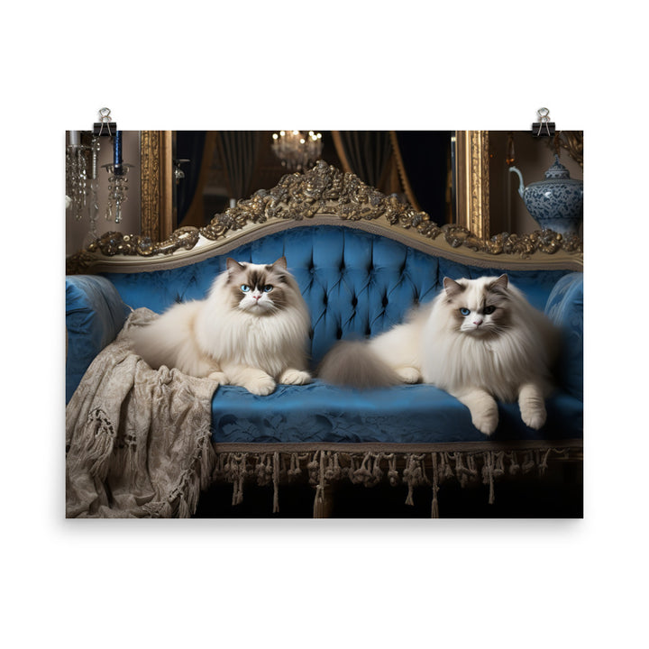 Ragdoll Photo paper poster - PosterfyAI.com