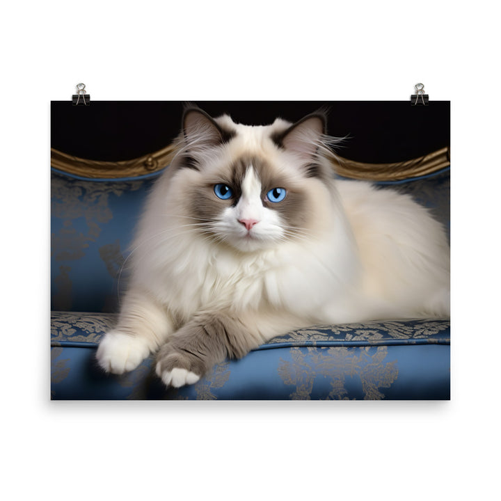 Ragdoll Photo paper poster - PosterfyAI.com