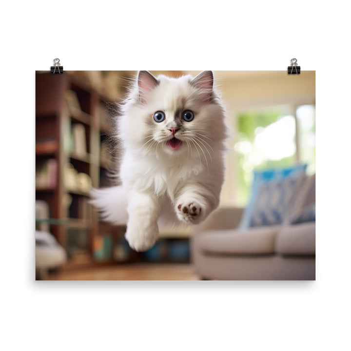 Ragdoll Photo paper poster - PosterfyAI.com
