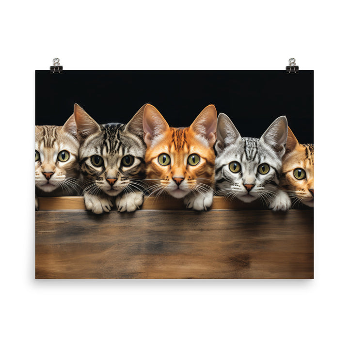 Ocicat Photo paper poster - PosterfyAI.com