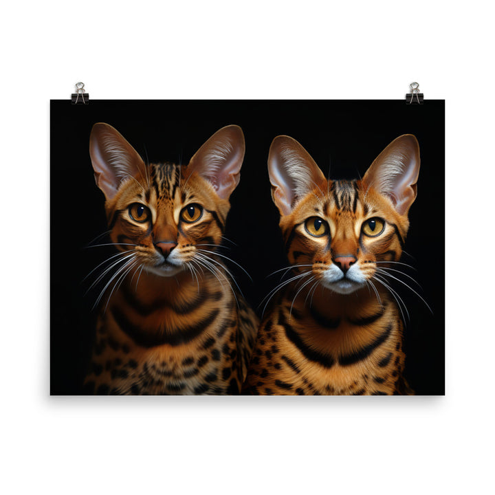 Ocicat Photo paper poster - PosterfyAI.com