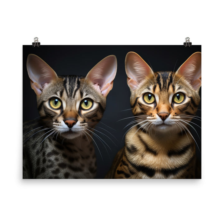 Ocicat Photo paper poster - PosterfyAI.com