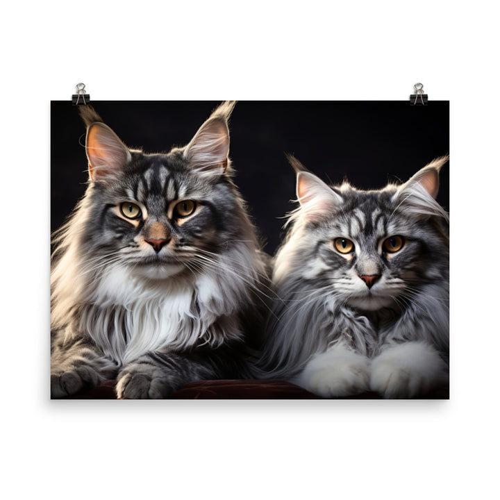 Maine Coon Photo paper poster - PosterfyAI.com
