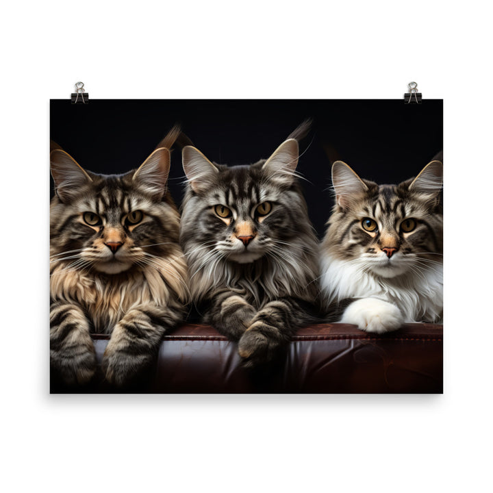 Maine Coon Photo paper poster - PosterfyAI.com