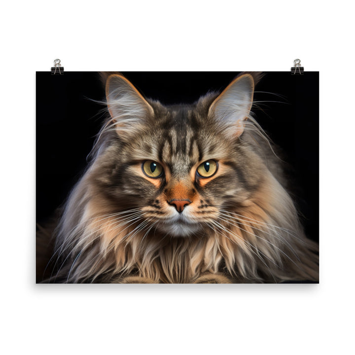 Maine Coon Photo paper poster - PosterfyAI.com