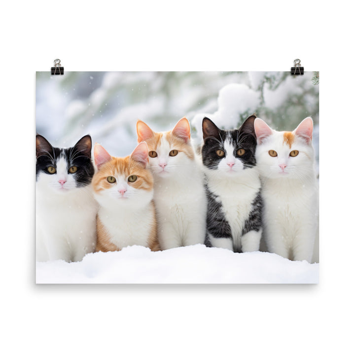 Japanese Bobtail Photo paper poster - PosterfyAI.com