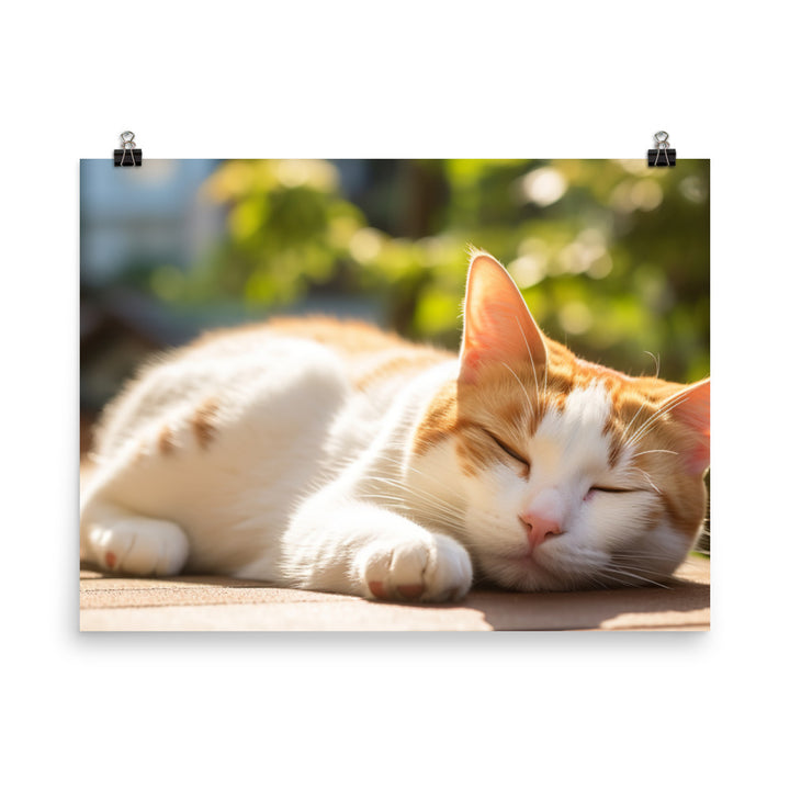 Japanese Bobtail Photo paper poster - PosterfyAI.com
