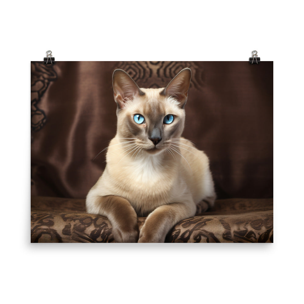Tonkinese Photo paper poster - PosterfyAI.com