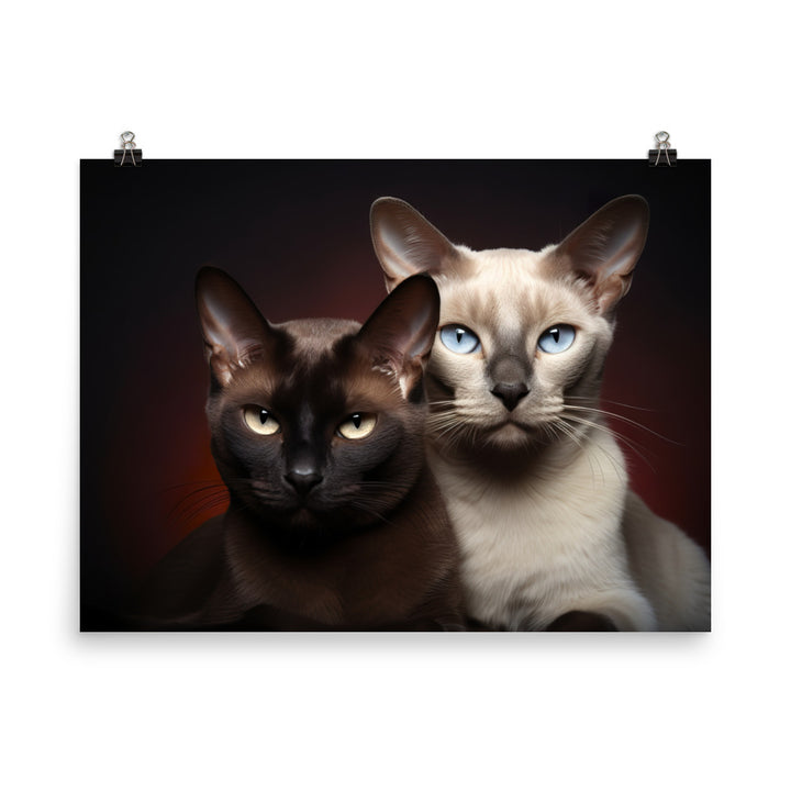 Tonkinese Photo paper poster - PosterfyAI.com