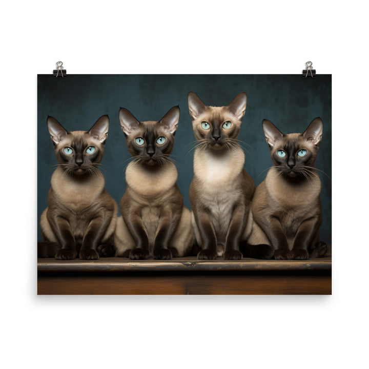 Tonkinese Photo paper poster - PosterfyAI.com