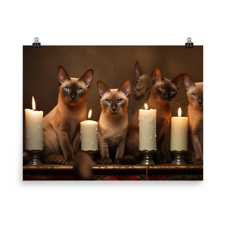 Tonkinese Photo paper poster - PosterfyAI.com