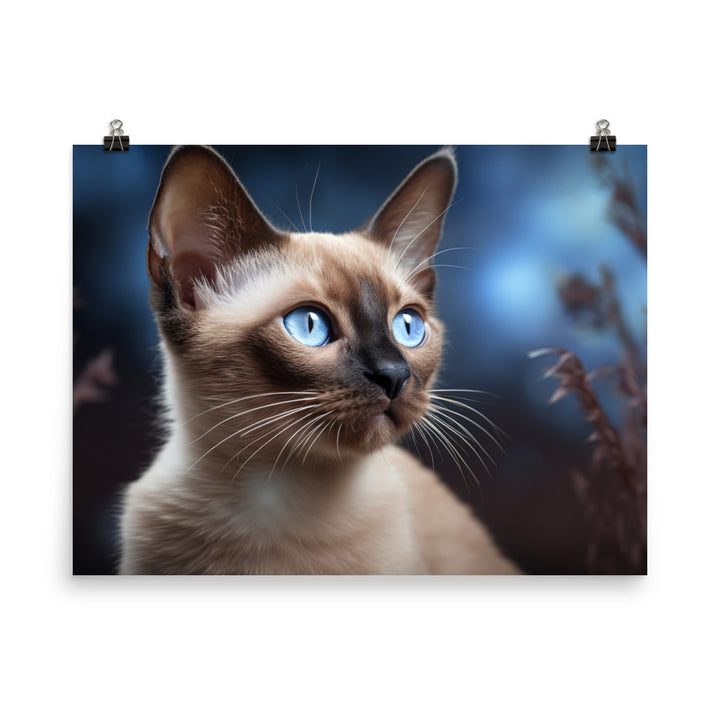 Tonkinese Photo paper poster - PosterfyAI.com