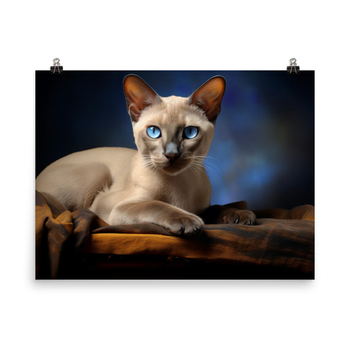 Tonkinese Photo paper poster - PosterfyAI.com